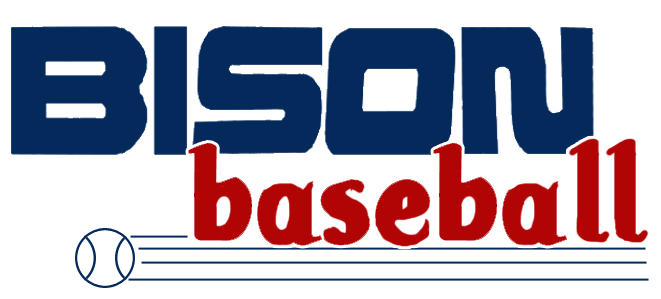 Buffalo Bisons 1985-1988 Wordmark Logo vinyl decal